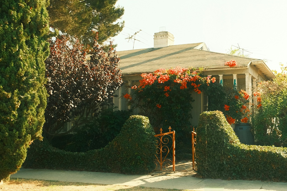 front yard with hedges